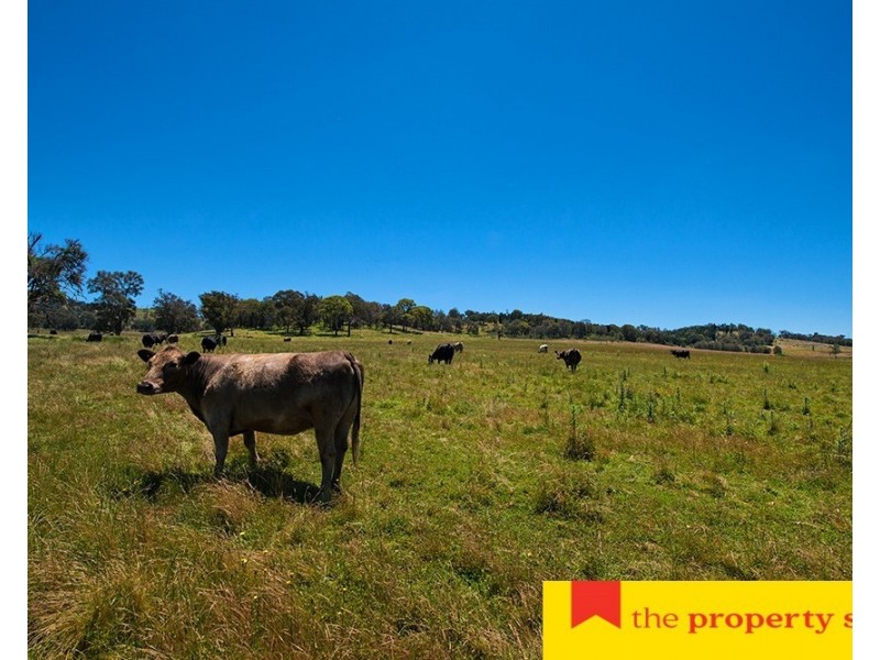 799 Black Springs Road, Mudgee NSW 2850