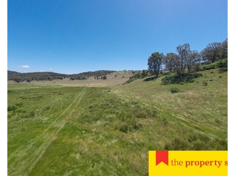 799 Black Springs Road, Mudgee NSW 2850