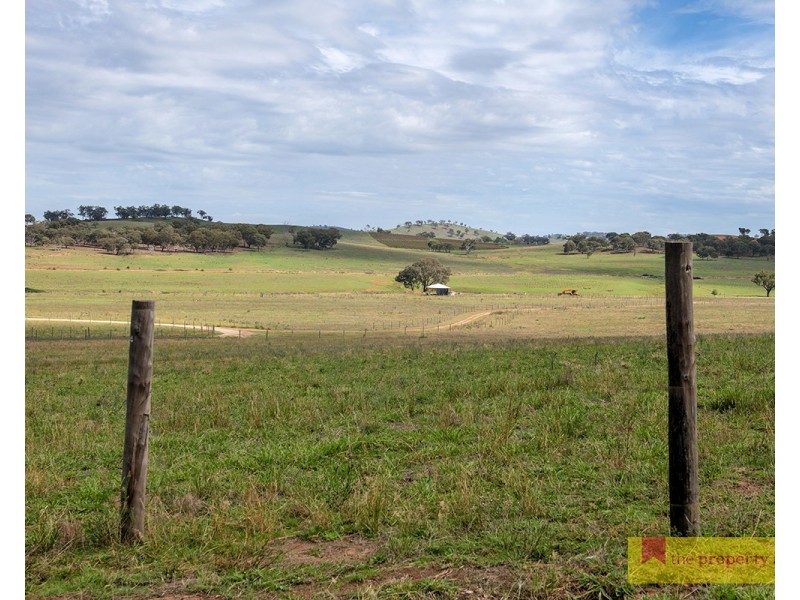 124 Snakes Creek Road, Mudgee NSW 2850