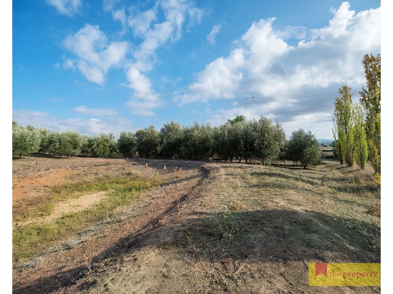 64 Henry Bayly Drive, Mudgee NSW 2850