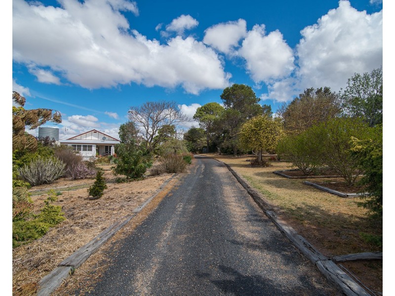 2610 Castlereagh Highway, Gulgong NSW 2852