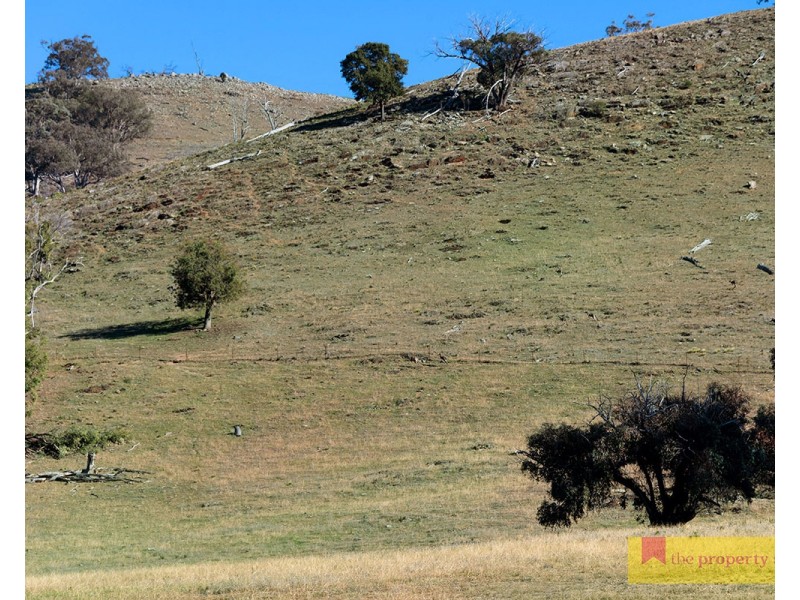 828 Yarrabin Road, Mudgee NSW 2850