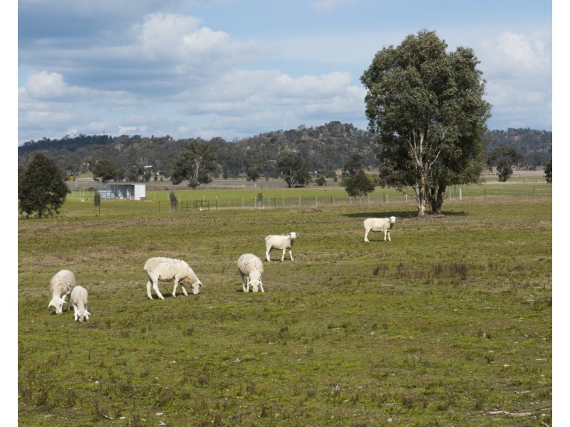 30 Norlenbah Road, Mudgee NSW 2850