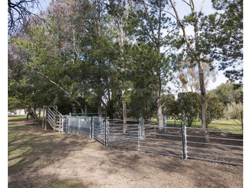 30 Norlenbah Road, Mudgee NSW 2850
