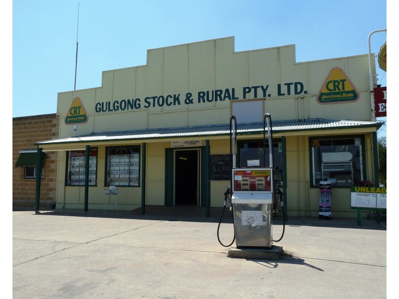 82 Mayne Street, Gulgong NSW 2852