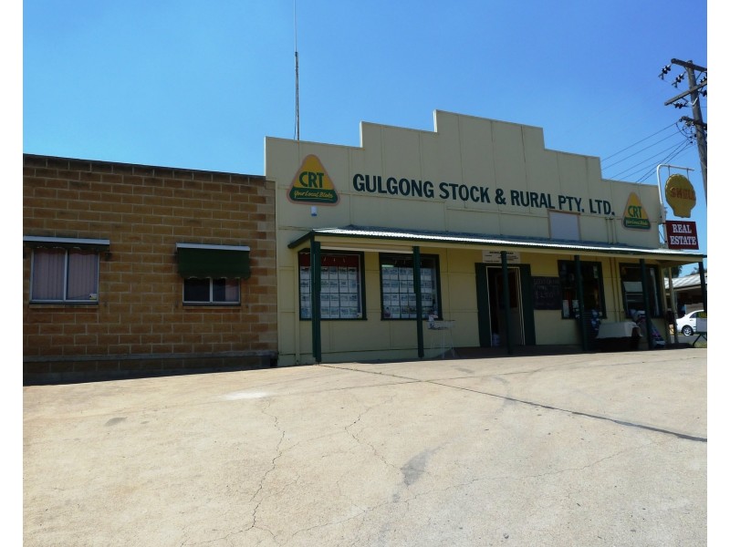 82 Mayne Street, Gulgong NSW 2852