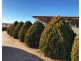 145 Putta Bucca Road, Mudgee NSW 2850