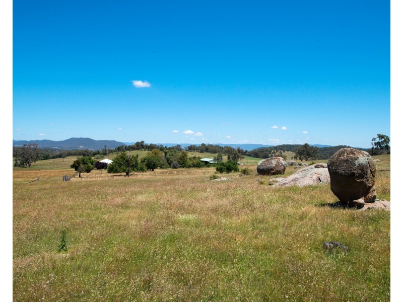 Black Springs Road, Mudgee NSW 2850