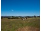 Black Springs Road, Mudgee NSW 2850