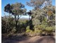 Lue NSW 2850