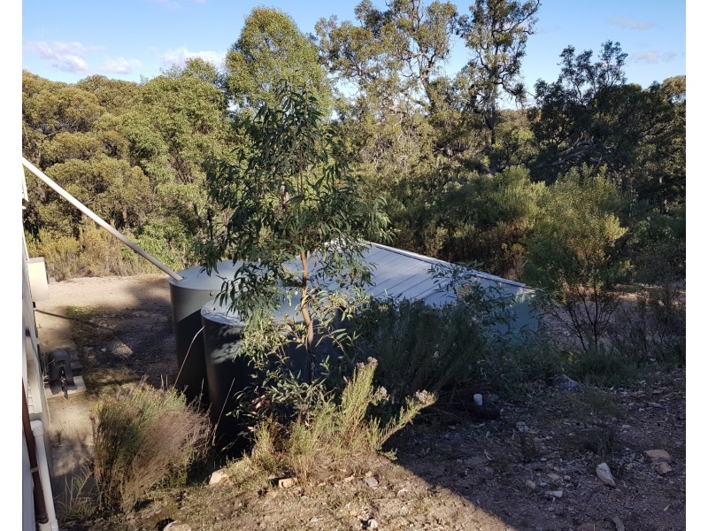 Lue NSW 2850