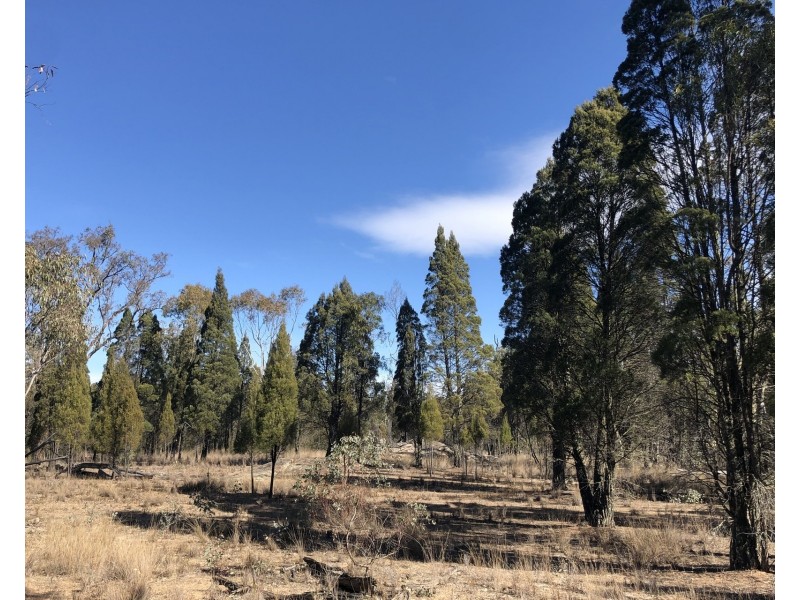 1477 Spring Creek Road, Mudgee NSW 2850