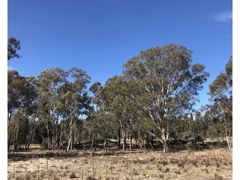 1477 Spring Creek Road, Mudgee NSW 2850