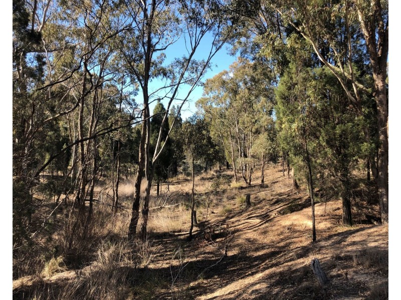 1477 Spring Creek Road, Mudgee NSW 2850