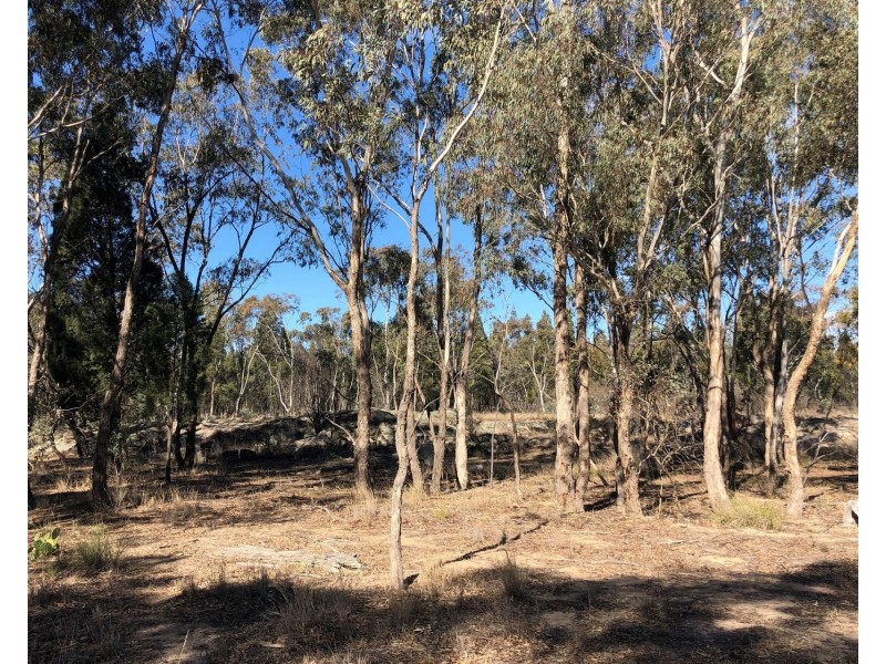 1477 Spring Creek Road, Mudgee NSW 2850