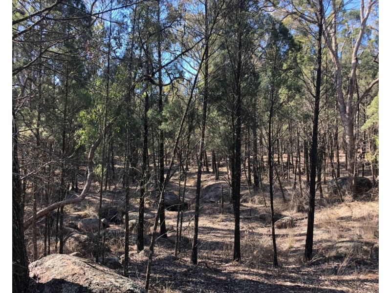 1477 Spring Creek Road, Mudgee NSW 2850