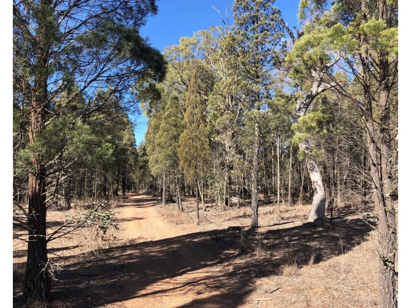 1477 Spring Creek Road, Mudgee NSW 2850