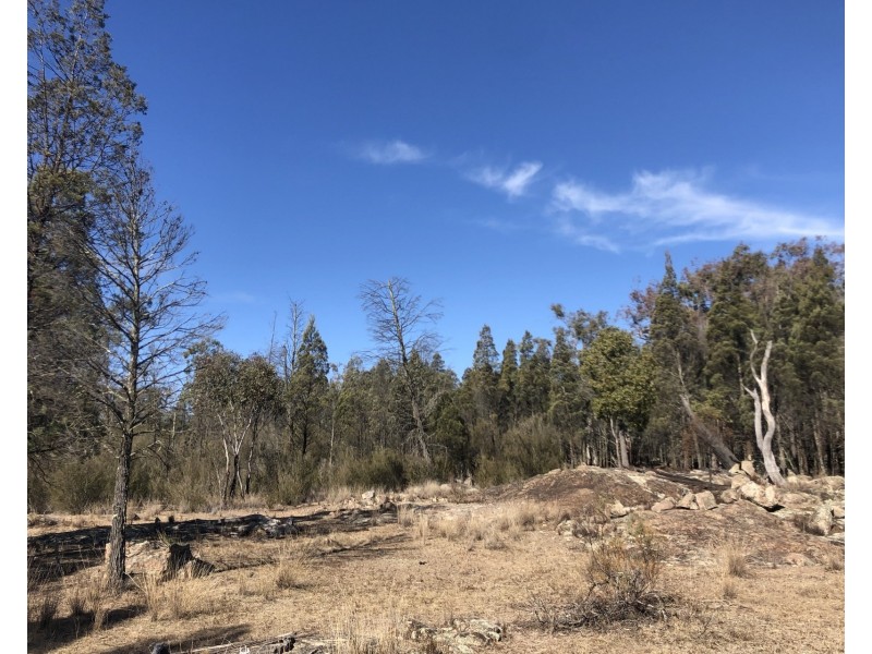 1477 Spring Creek Road, Mudgee NSW 2850