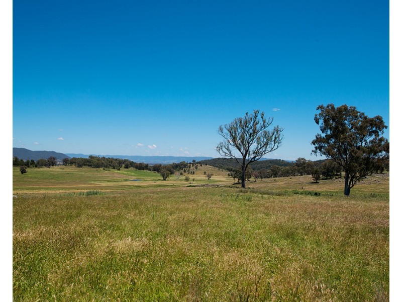 3/Part 769 Black Springs Road, Mudgee NSW 2850