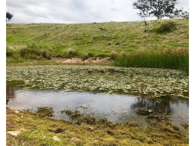 1018 Campbells Creek Road, Mudgee NSW 2850