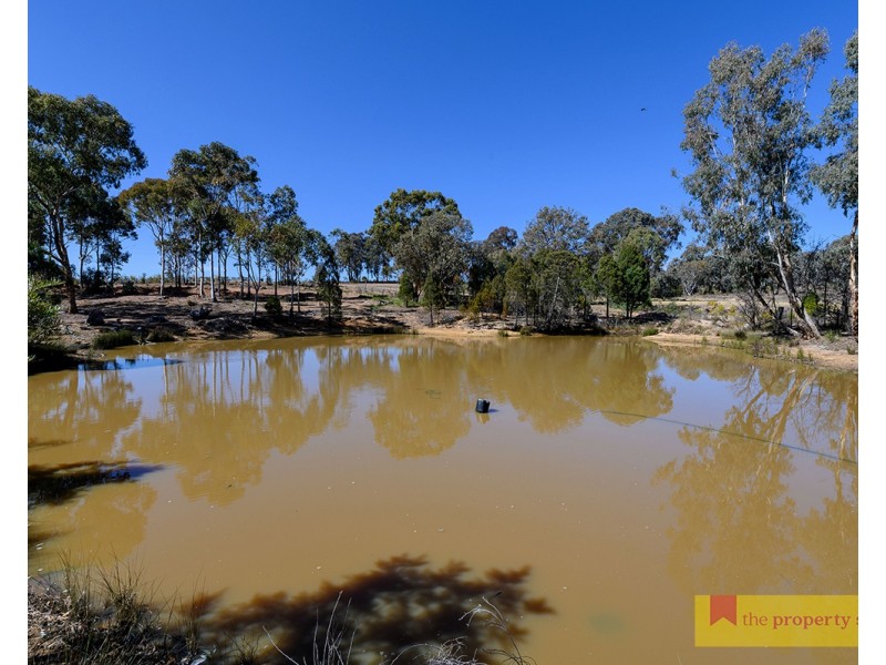 254 Robertson Road, Mudgee NSW 2850