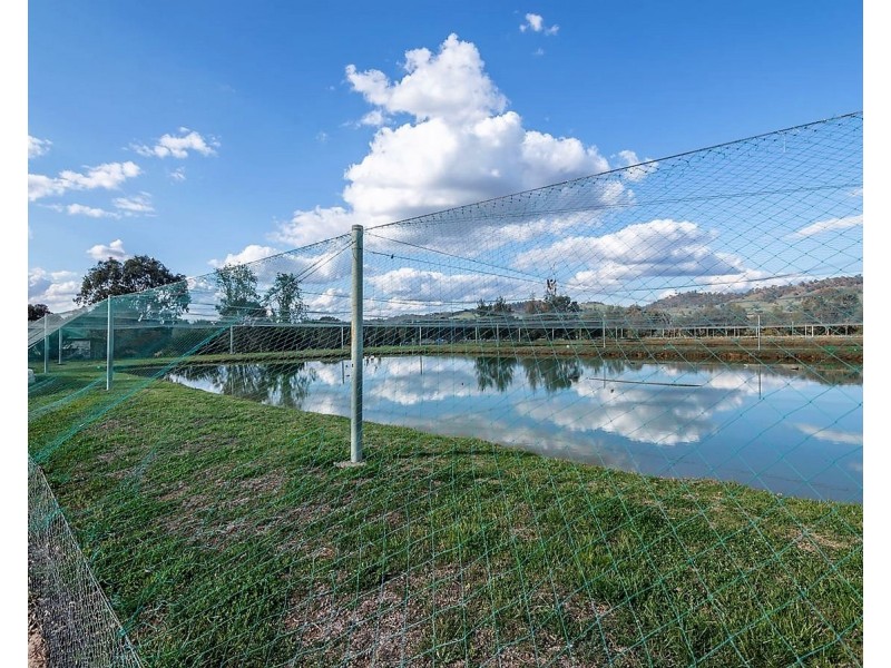 40 Kaludabah Road, Mudgee NSW 2850