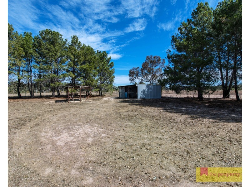 12 Carramar Road, Gulgong NSW 2852