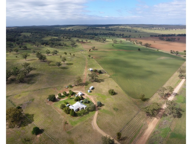 165 Laheys Creek Road, Dunedoo NSW 2844