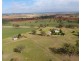 165 Laheys Creek Road, Dunedoo NSW 2844