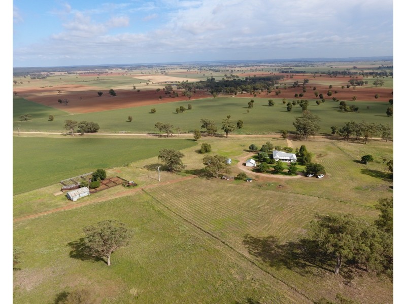 165 Laheys Creek Road, Dunedoo NSW 2844