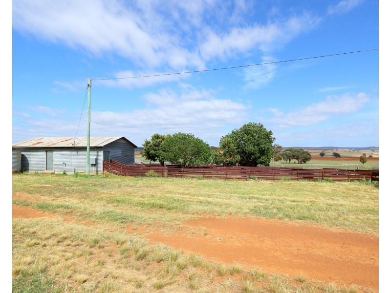 165 Laheys Creek Road, Dunedoo NSW 2844