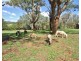 Mudgee NSW 2850