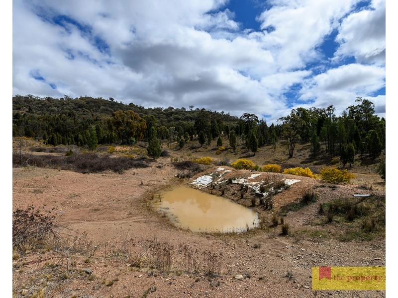 240 Windeyer Road, Mudgee NSW 2850