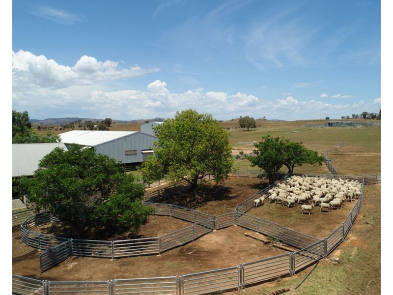 2755 Triamble Road, Mudgee NSW 2850