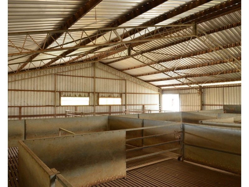 2755 Triamble Road, Mudgee NSW 2850