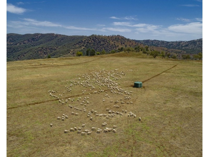 2755 Triamble Road, Mudgee NSW 2850