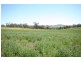 Gulgong NSW 2852