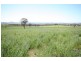 Gulgong NSW 2852
