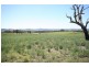 Gulgong NSW 2852