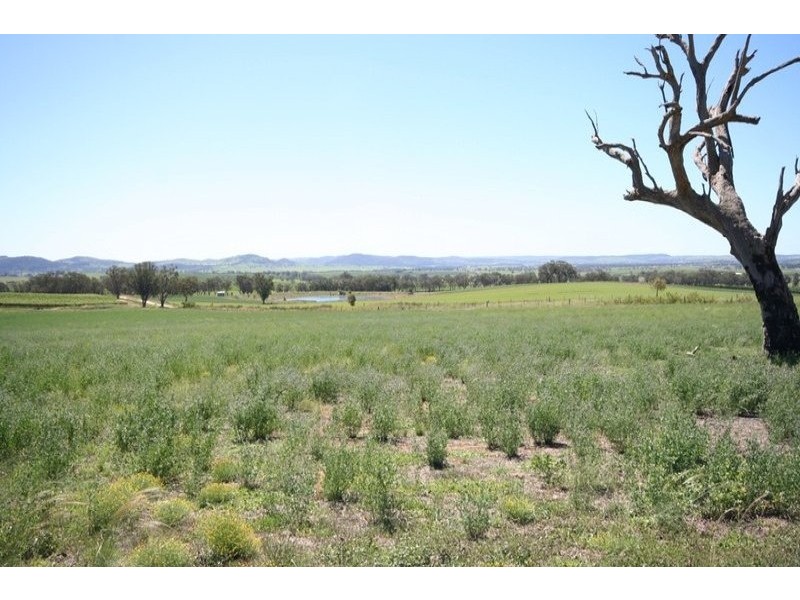 Gulgong NSW 2852