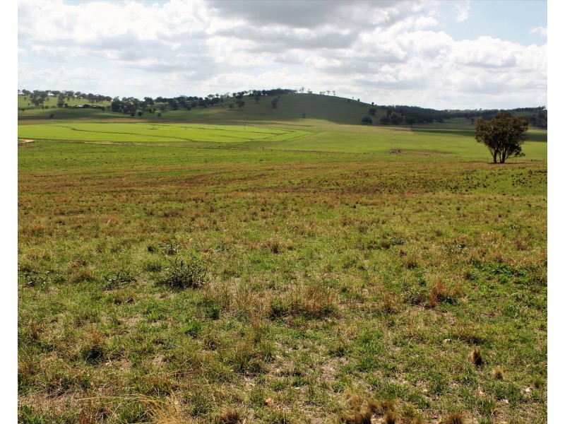 Lot 4 Springfield Lane, Mudgee NSW 2850