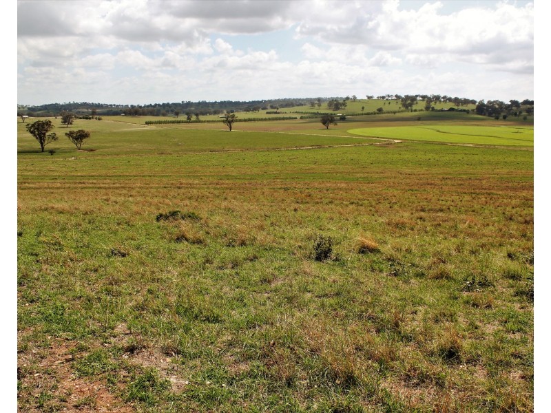 Lot 4 Springfield Lane, Mudgee NSW 2850