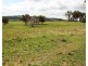 Lot 4 Springfield Lane, Mudgee NSW 2850