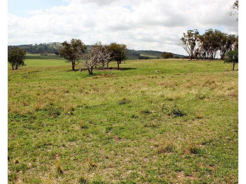 Lot 4 Springfield Lane, Mudgee NSW 2850