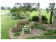 Mudgee NSW 2850