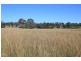 Mudgee NSW 2850