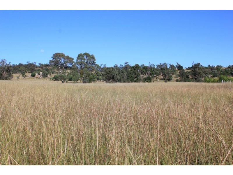 Mudgee NSW 2850