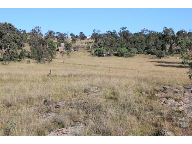 Mudgee NSW 2850