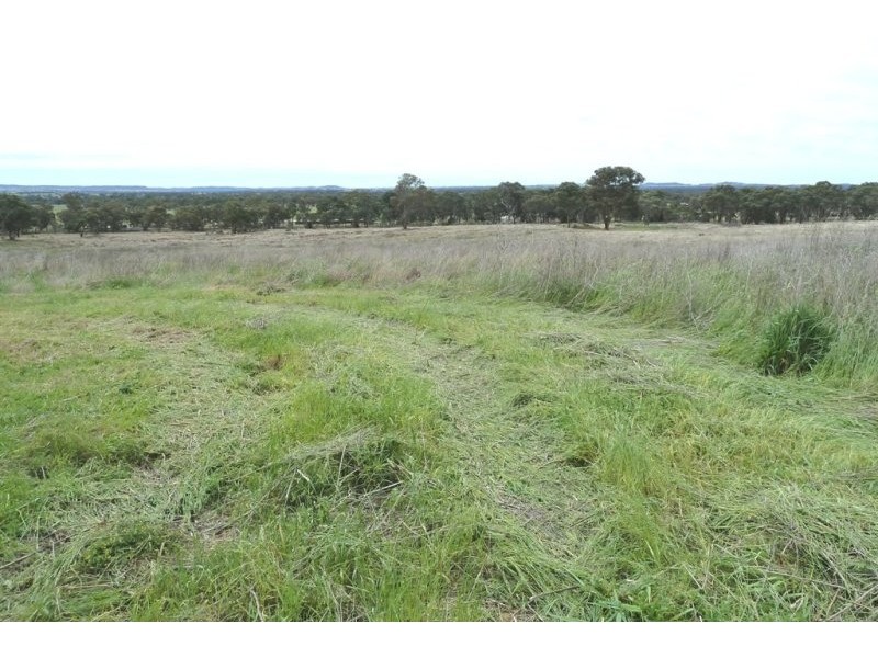 Gulgong NSW 2852