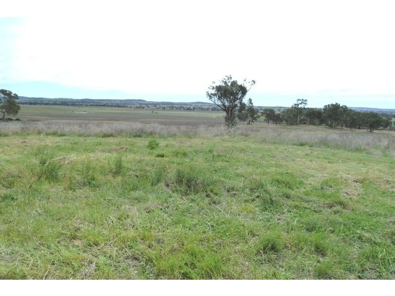 Gulgong NSW 2852